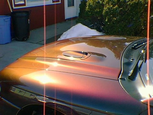 Ford Mustang Cobra hood shined up with Zaino