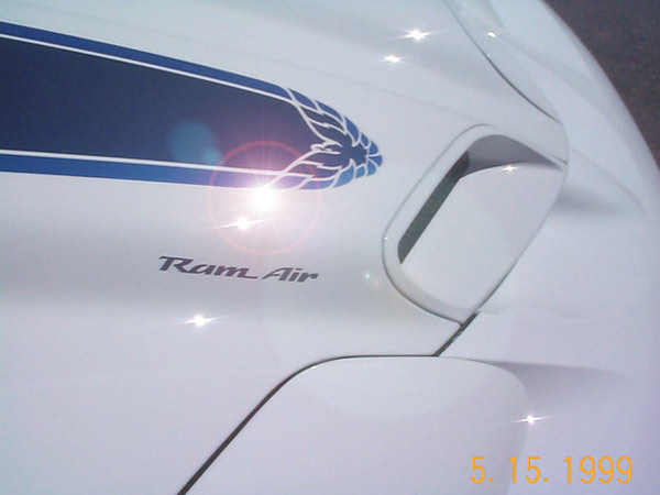 Trans Am Hood